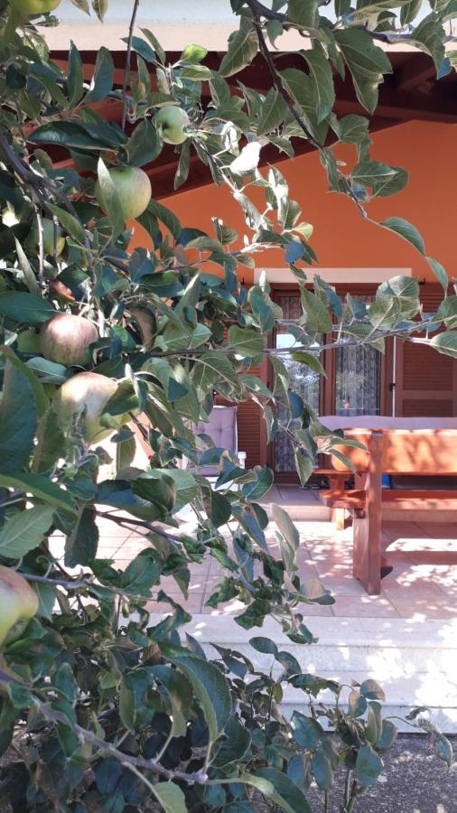 Apartman Lena Umag Extérieur photo